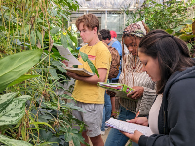 Botany laboratory activities in the SFASU Biology greenhouse