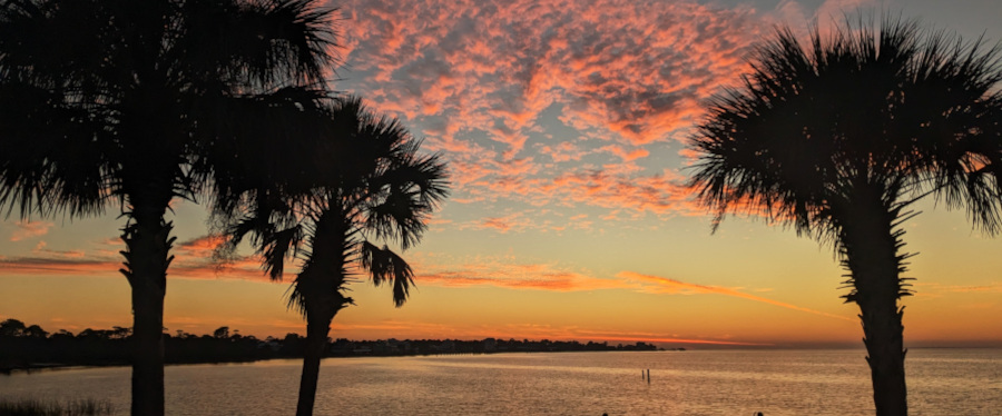 Sabal palmetto and sunset, St. George Island, FL, USA.