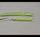 Hordeum pusillum